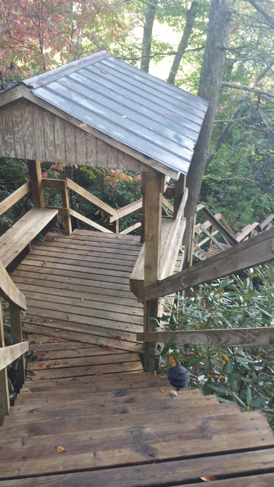 Metal roofed shelter over wooden steps on a wooded walkway — Skylight Repair & Installation work by our crew in Grayland