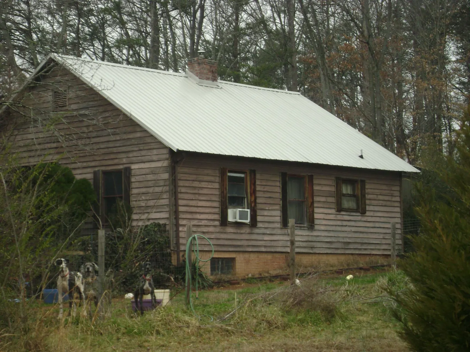 White metal roof on an old wood sided farmhouse, from a Metal Roof Installation job in Grayland